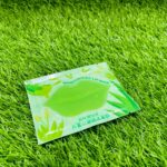 BAURSDE ALOEVERA LIP PUMP MASK