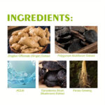 lichen-dark-brown-hair-colour-shampoo-advance-bottle_1.jpg