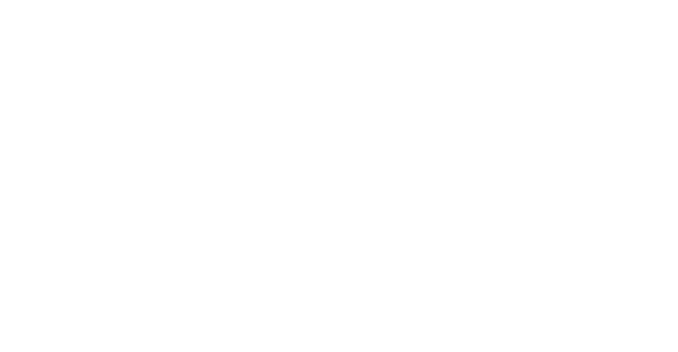 Nosha Mart - Logo